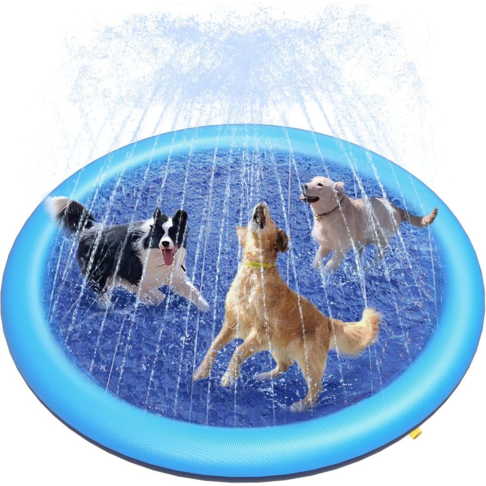 Alfombra de Juego Acuática Ant - Sprinkler Splash Pad reseña y precio