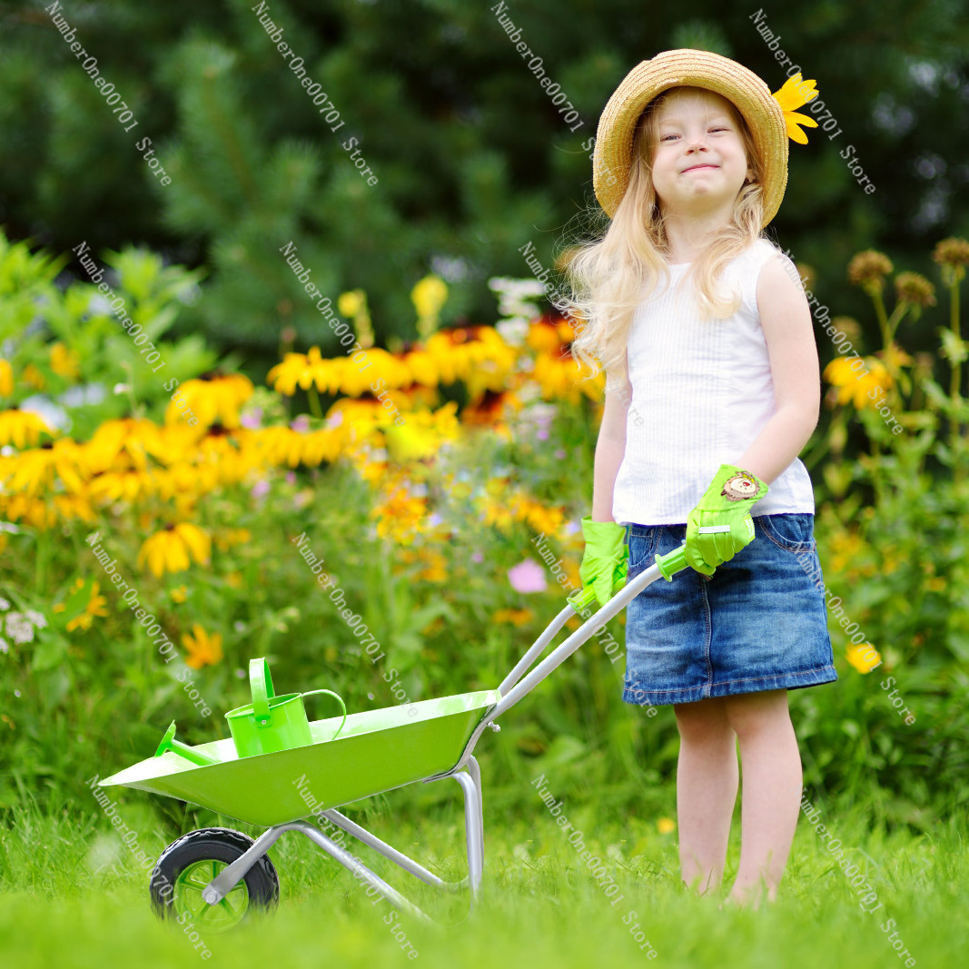 Carretilla de Jardín para Niño - Kids Outdoor Activity Toys reseña y precio